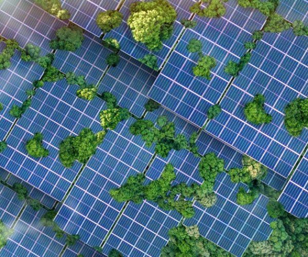 Solar,Panels,Installed,In,The,Green,Forest,Clean,Alternative,Energy